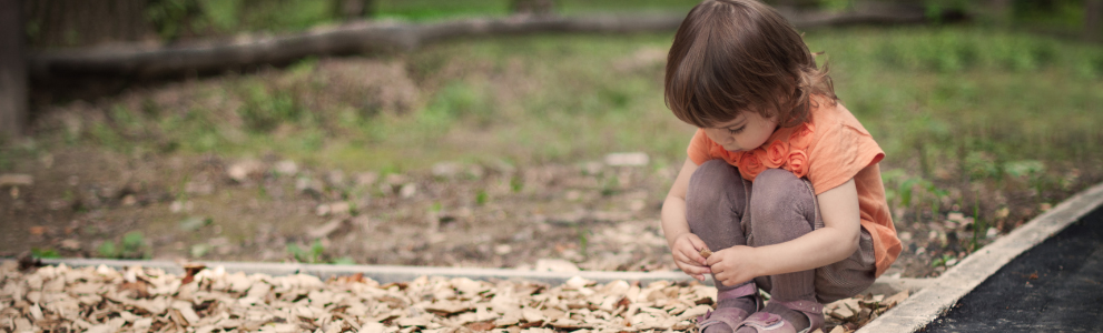 emergency custody attorney western north carolina