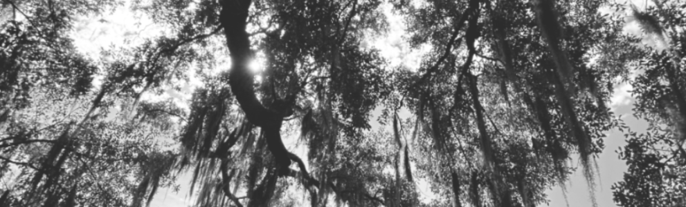 child support lawyer north carolina